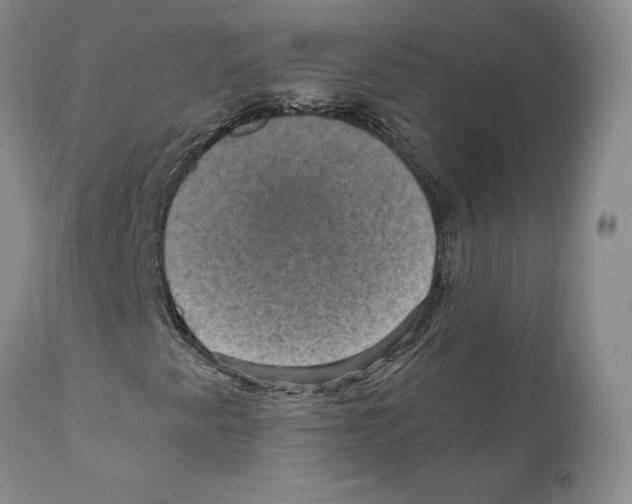 X0000110891345200907161516