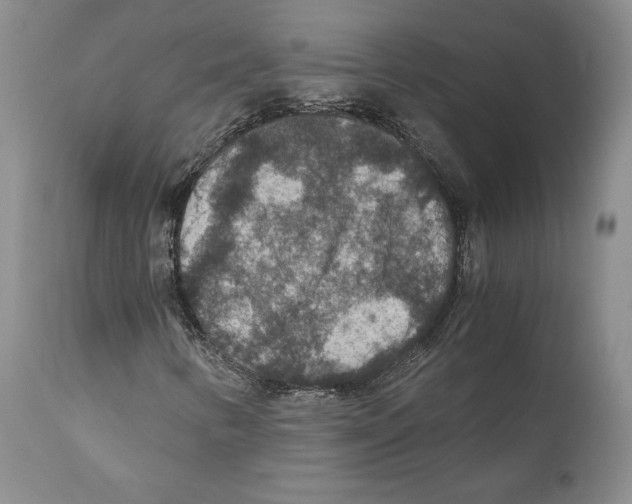 X0000110891346200907161516