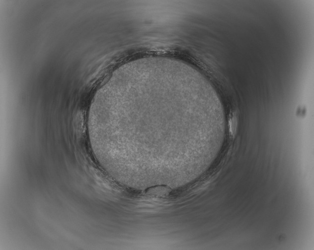 X0000110891347200907161516