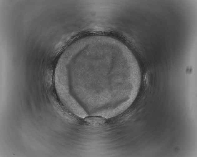 X0000110891348200907161516