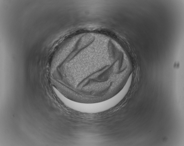 X0000110891349200907161516