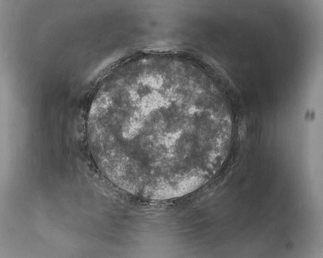 X0000110891350200907161516