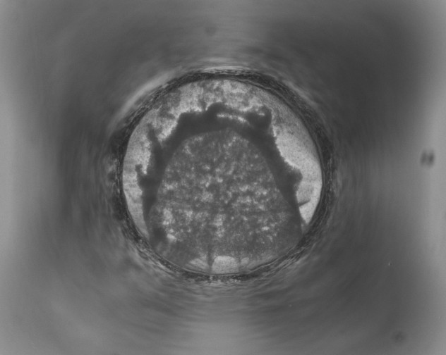 X0000110891351200907161516