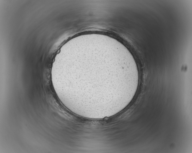 X0000110891355200907161516