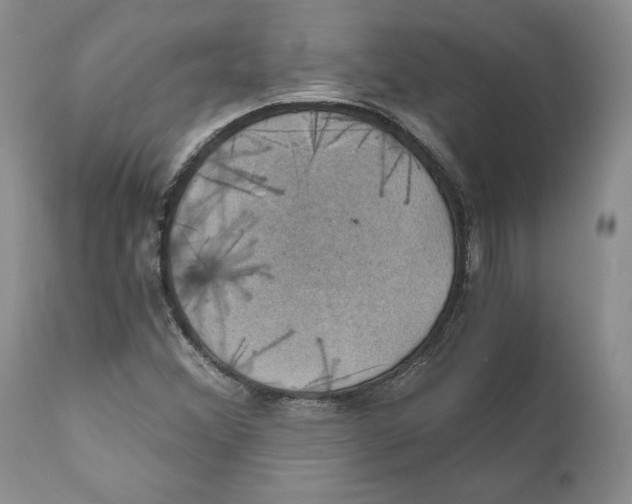 X0000110891356200907161516