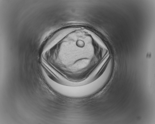 X0000110891357200907161516