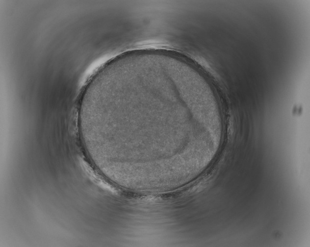 X0000110891358200907161516