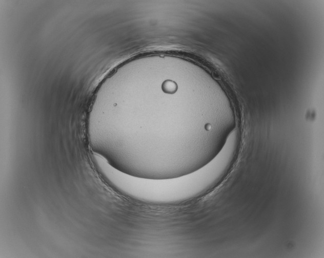 X0000110891361200907161516