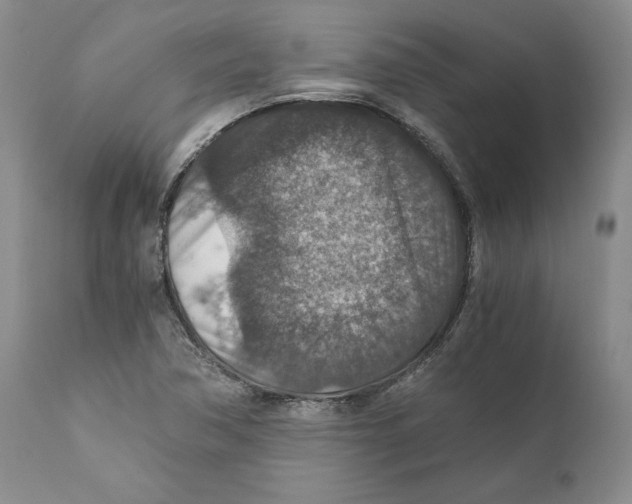 X0000110891362200907161516