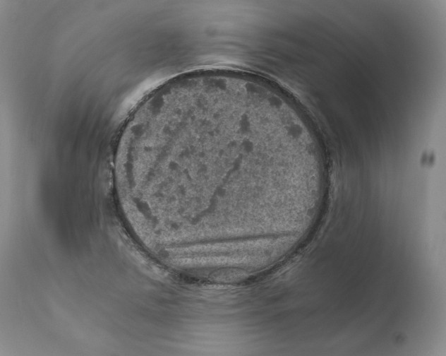 X0000110891363200907161516