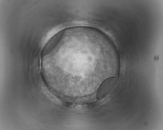 X0000110891365200907161516