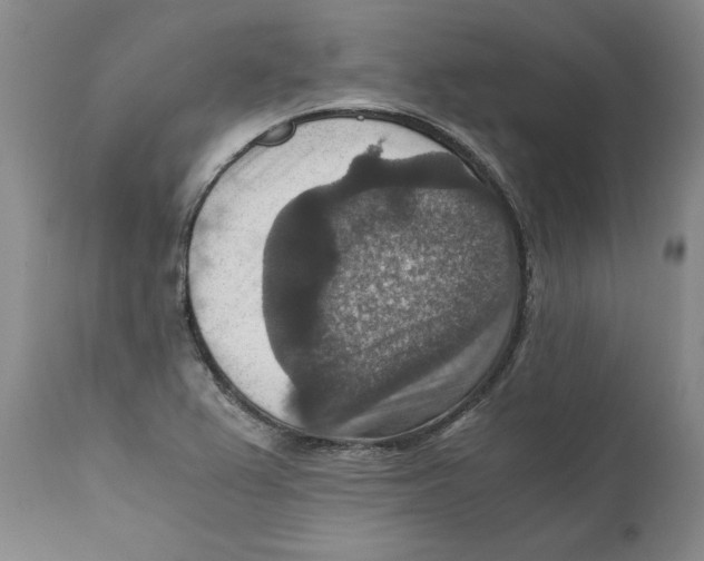 X0000110891367200907161516