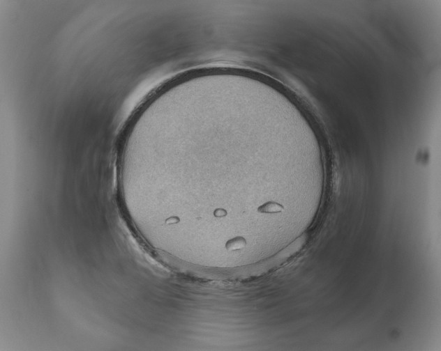 X0000110891368200907161516