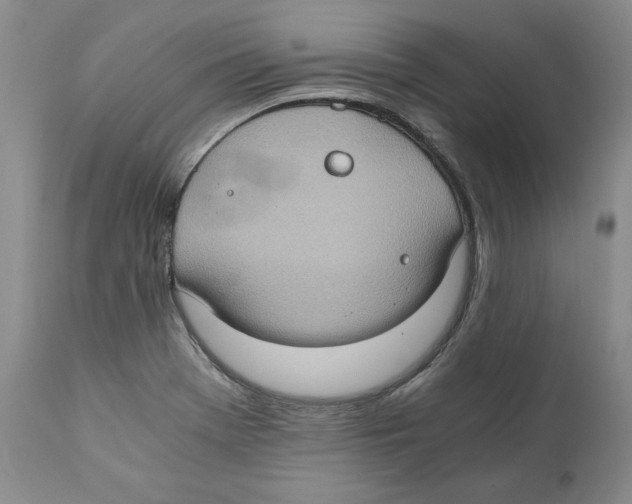 X0000110891369200907161516