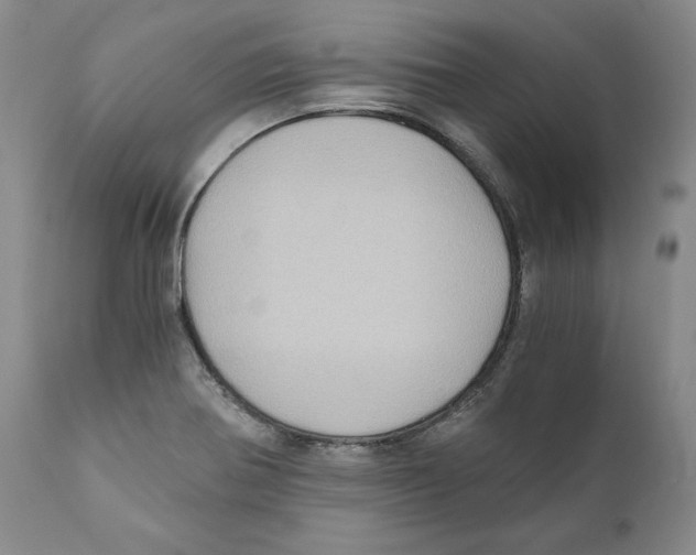 X0000110891370200907161516