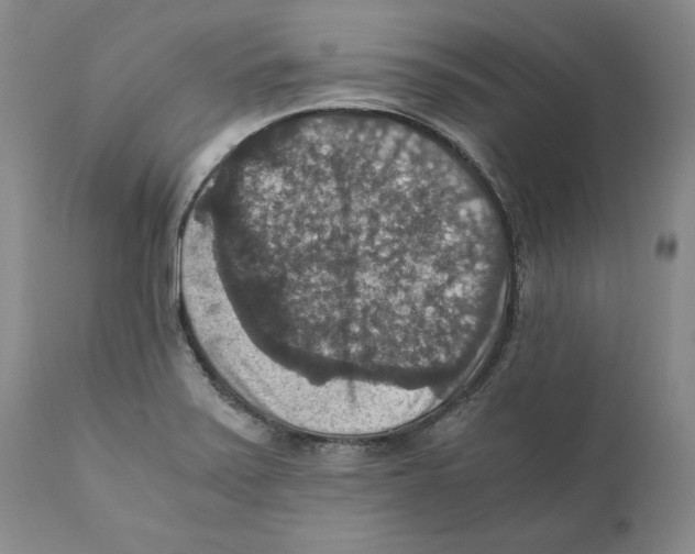 X0000110891371200907161516