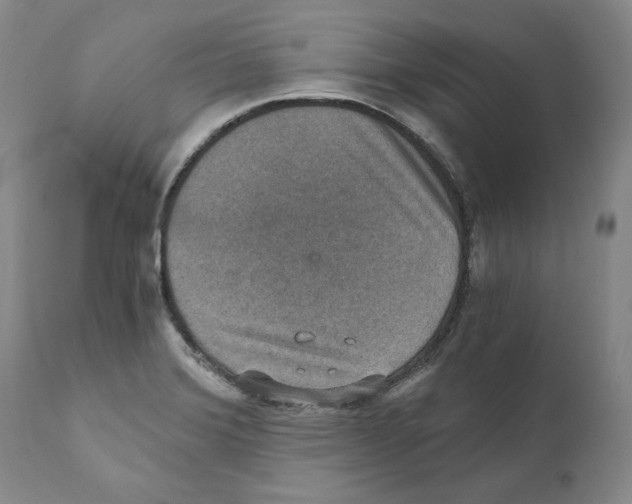 X0000110891372200907161516