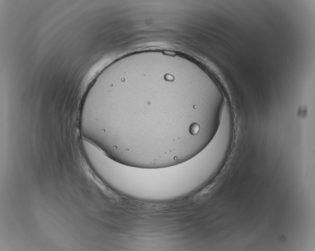 X0000110891373200907161516