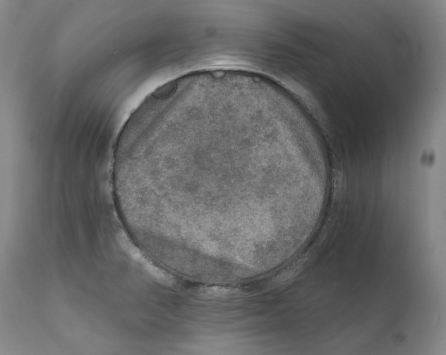 X0000110891374200907161516