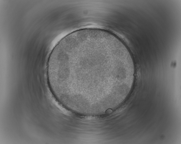 X0000110891375200907161516