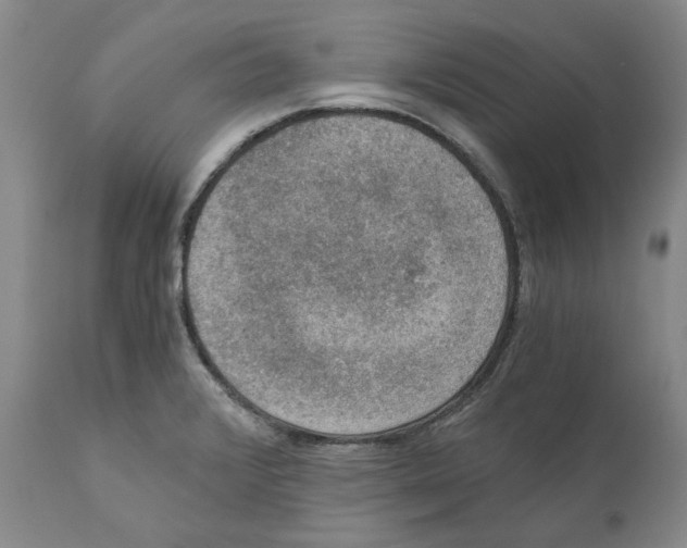 X0000110891376200907161516