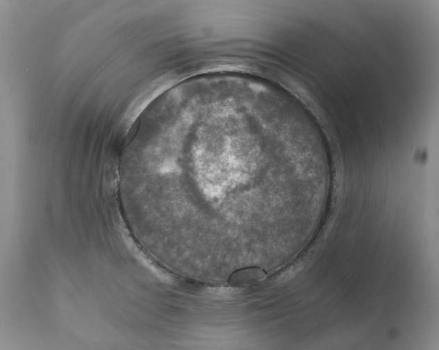 X0000110891377200907161516