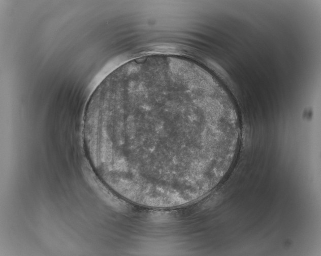 X0000110891378200907161516