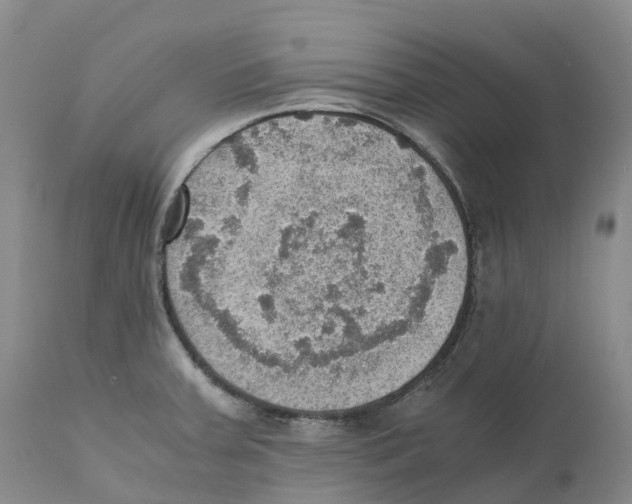 X0000110891379200907161516