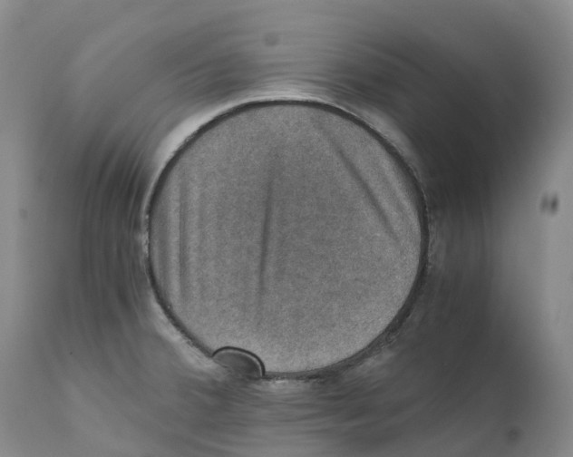 X0000110891380200907161516