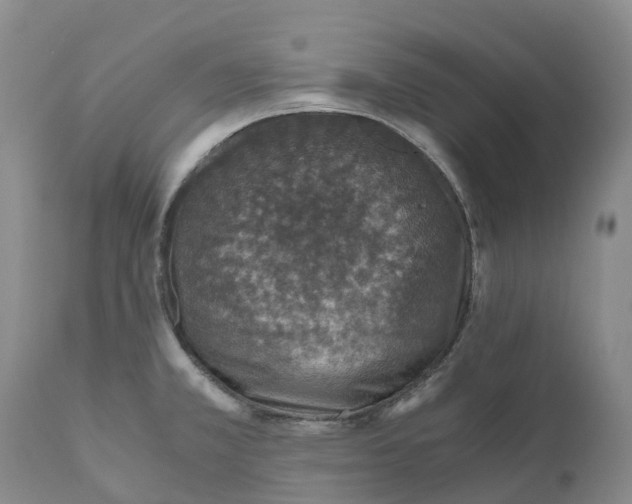 X0000110891381200907161516