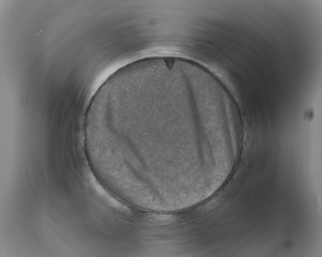 X0000110891382200907161516