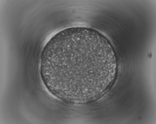 X0000110891383200907161516