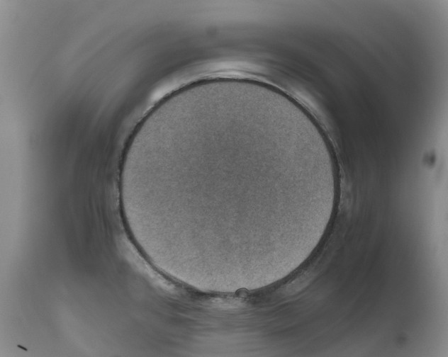 X0000110891384200907161516