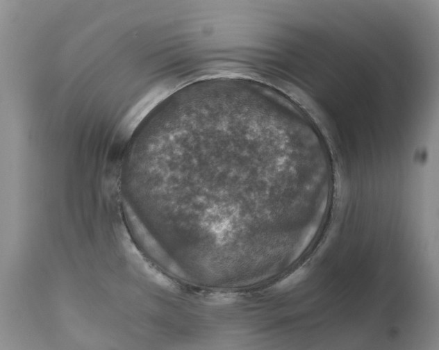 X0000110891385200907161516