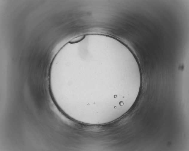 X0000110891387200907161516