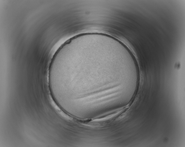 X0000110891388200907161515