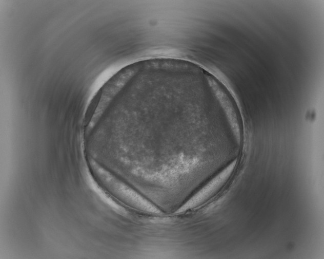 X0000110891389200907161515