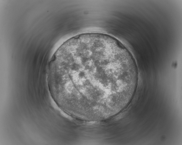 X0000110891390200907161515