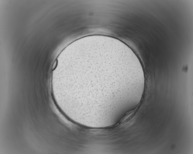 X0000110891391200907161515