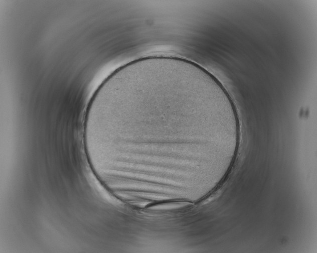 X0000110891392200907161515