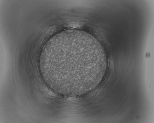 X0000110891393200907161515