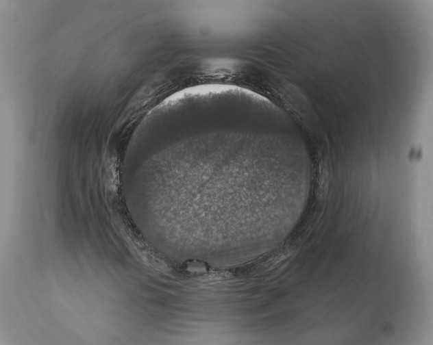 X0000110891394200907161515