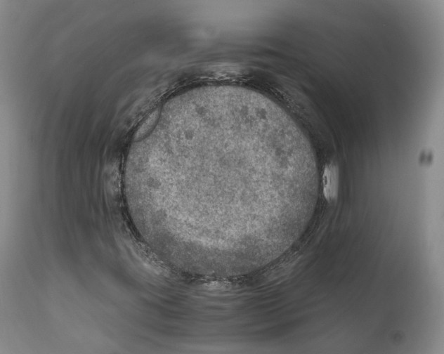 X0000110891395200907161515