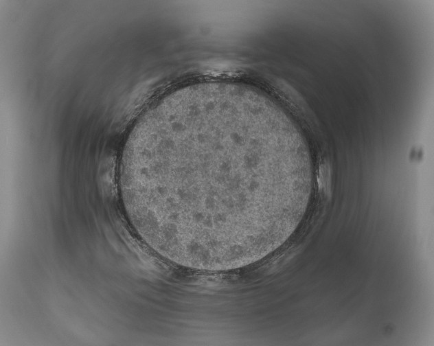 X0000110891396200907161515