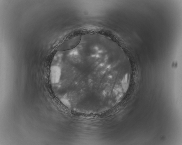 X0000110891397200907161515