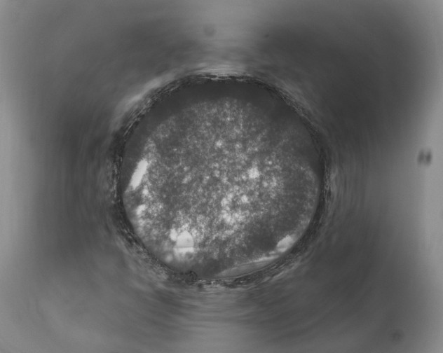 X0000110891398200907161515