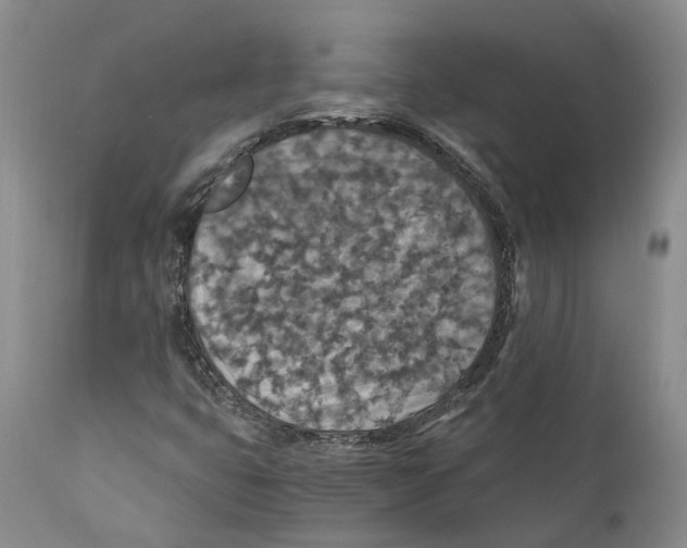 X0000110891399200907161515