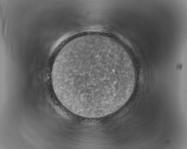 X0000110891400200907161515