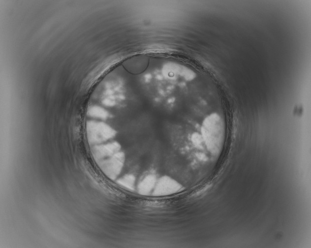 X0000110891401200907161515