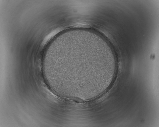 X0000110891402200907161515